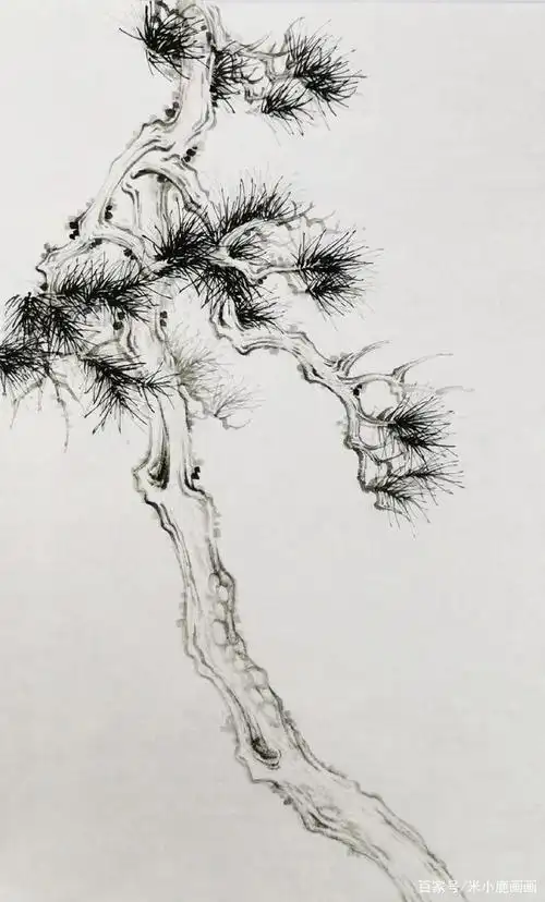 国画山水,花鸟中马尾松的画法,松针口诀