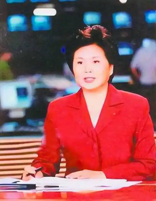 邢质斌播报《电视》28年,花甲之年却因为一段策划"晚节不保"_培福_台