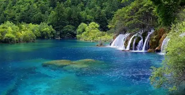 珍珠滩瀑布,位于九寨沟