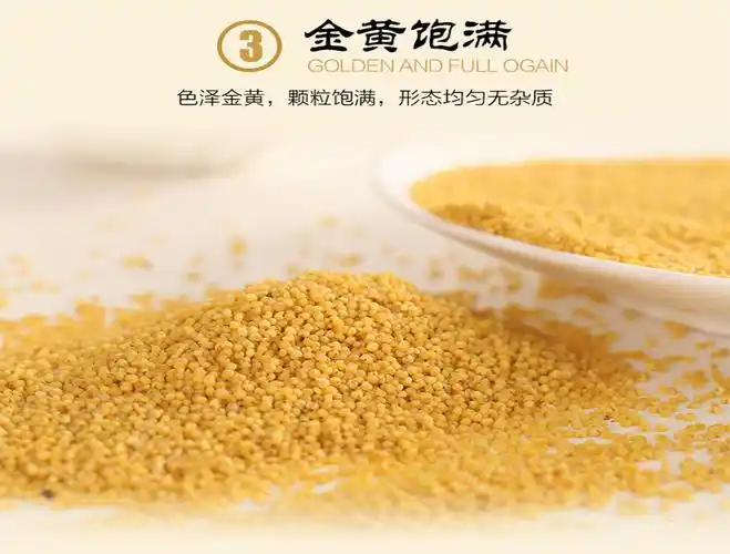 年新米5斤陕西黄小米农家月子米五谷杂粮小米饭10g小黄米优选新黄小米