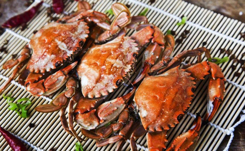 6种营养美味又常见的海鲜,你喜欢哪一种,网友:小龙虾