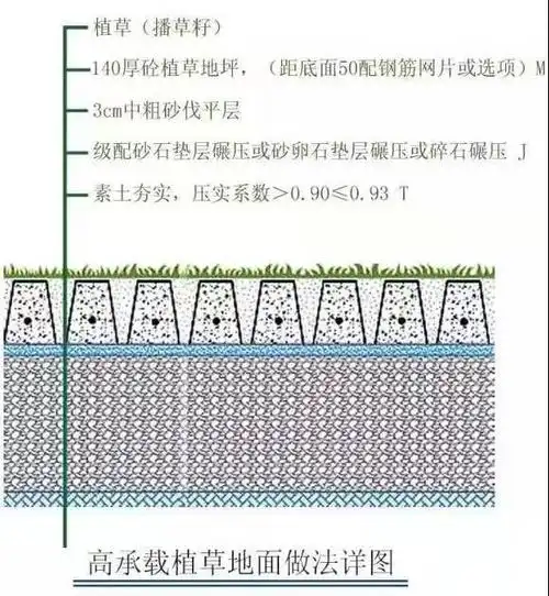 高承载植草地坪——生态停车场的福音