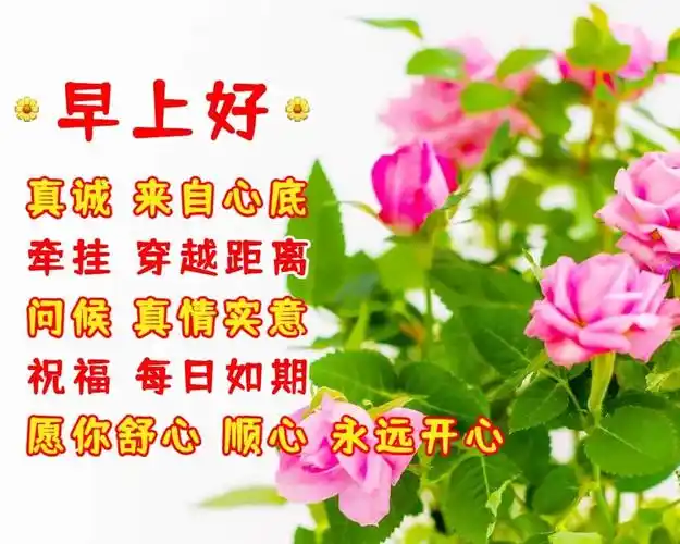 日日平安语,深深祝福情,彼此多保重,天天好心情!早安