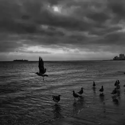 快手风景头像_480x480尺寸快手专用风景头像_第10页_qq头像_我要个性