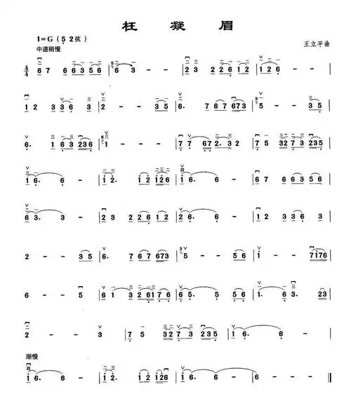 二胡枉凝眉指法简谱