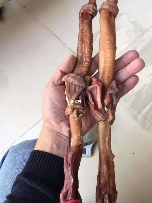 鹿鞭的功效与作用有哪些乐于助人的使用禁忌