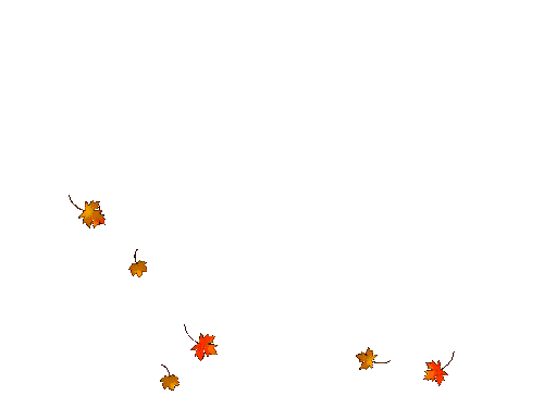 求ps高手做一个简单的gif格式的图!急!急!