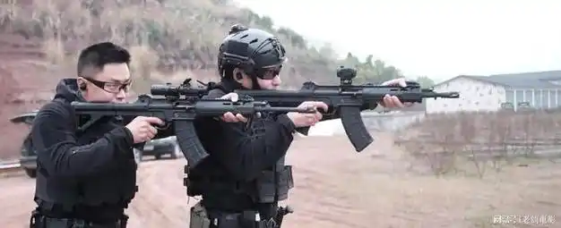 世界轻武器之中国北方工业qbz191