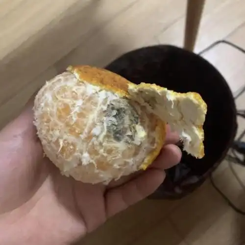 【现摘现发】四川不知火丑橘 新鲜水果 2.