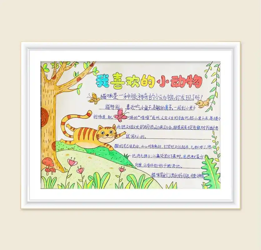 小动物手抄报,猫咪绘画,我喜欢的小动 - 抖音