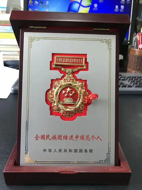 依路脱贫的"领头雁" ——记全国民族团结进步模范个人孙岳事迹