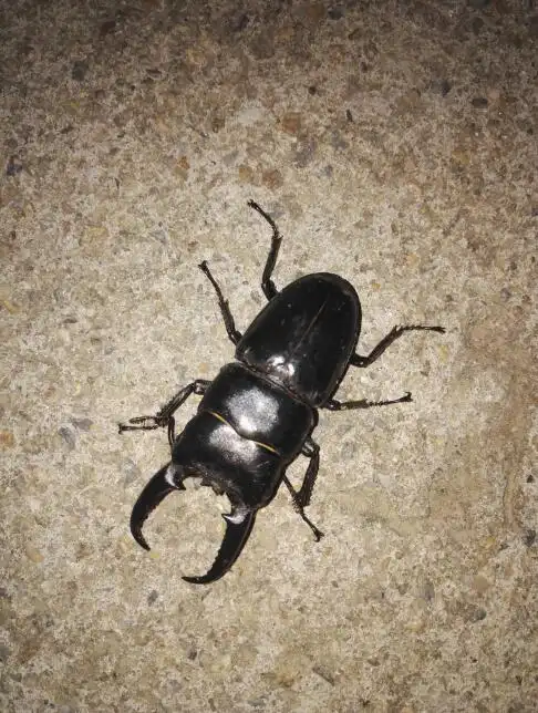 有哪位知道这是什么