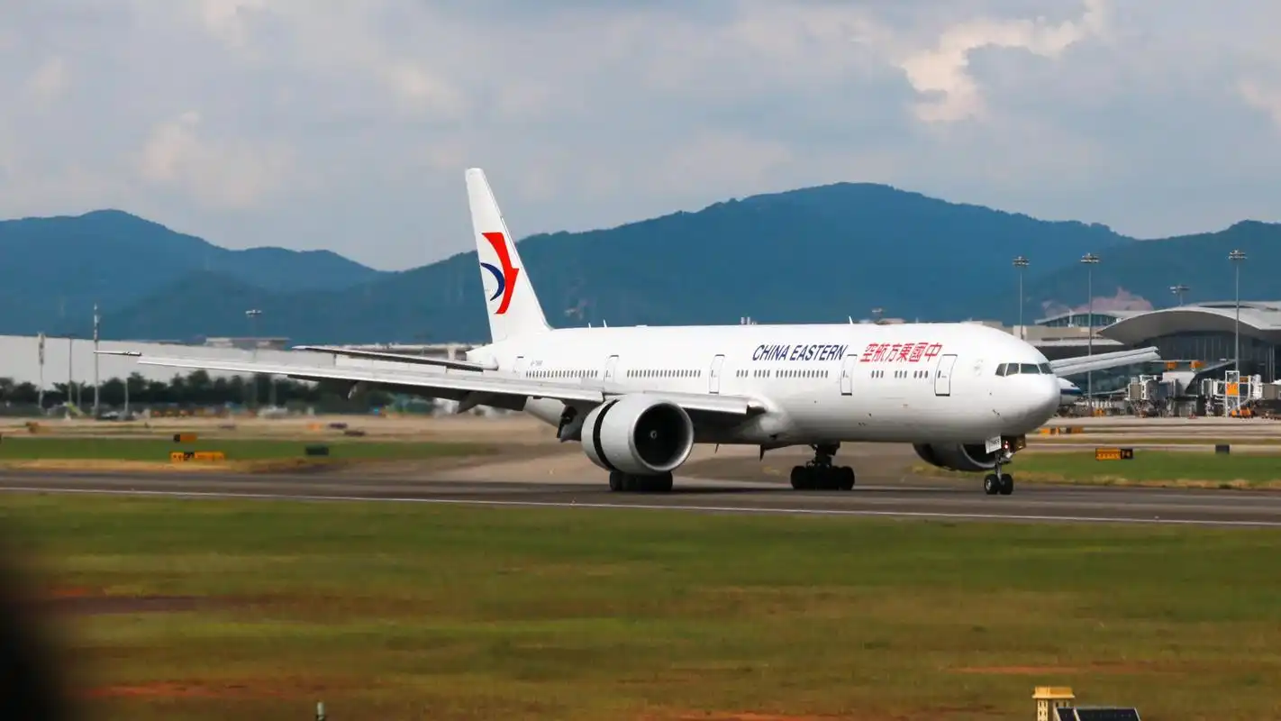 关于一只大燕子偷袭白云机场0215.白云一天两架东航777 是 - 抖音