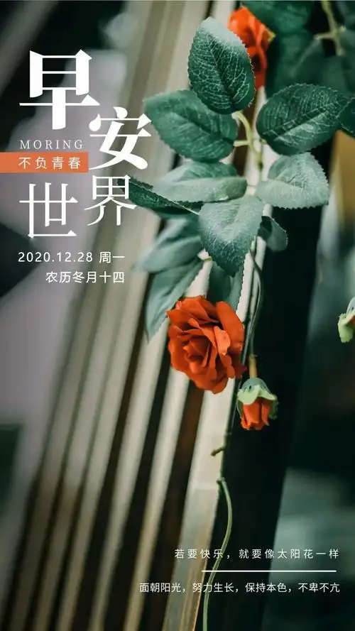 新的一周朋友圈早安说说正能量图片12月28早安日签