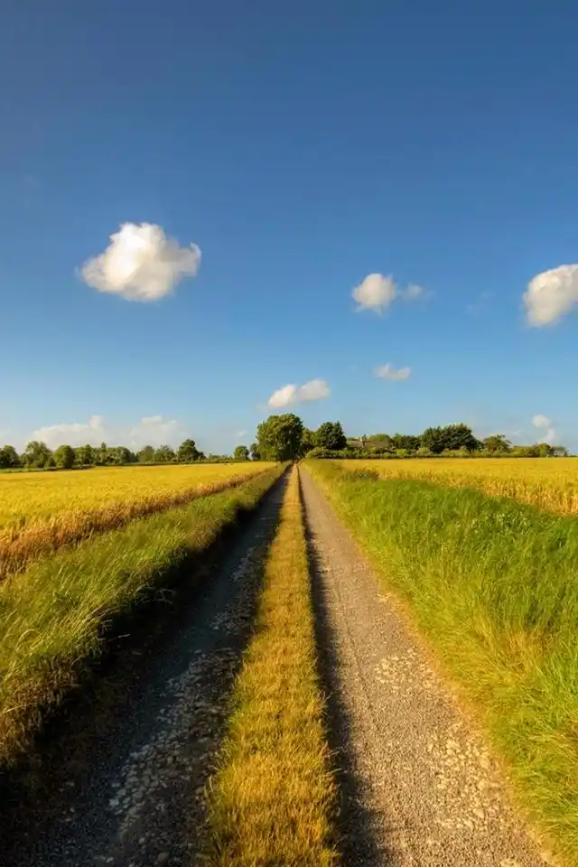 好看的风景图片广阔平原唯美手机壁纸
