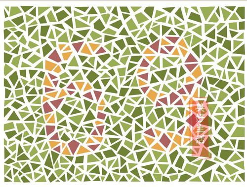 驾驶证体检高考色觉色盲色弱测试检查检测图全套 色盲本辨色图谱