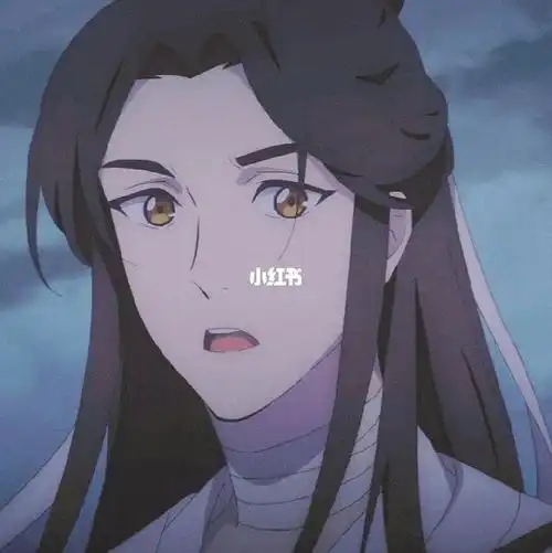 天官赐福头像之谢怜