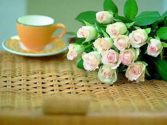 圣瓦伦丁的玫瑰