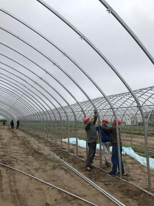 行业新闻,宝鸡大棚_宝鸡温室大棚_宝鸡大棚建设造价_陕西鼎泰鑫乓业