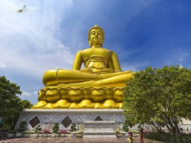 69米大佛一夜成为网红!_佛教_琉璃_释迦