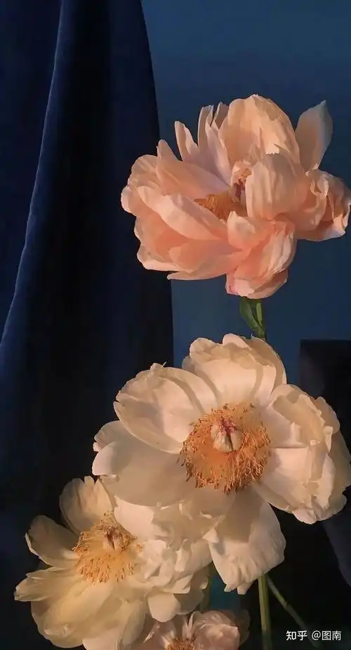 动漫风景4k壁纸 - 知乎