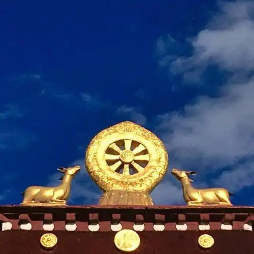 那些美丽符号的故事丨藏传佛教符号你认识几个?