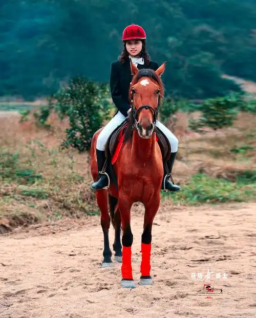 马场女骑士