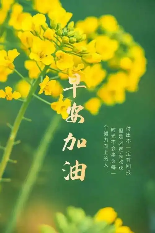 2024313周三早安问候语图片每日一句早安励志正能量句子