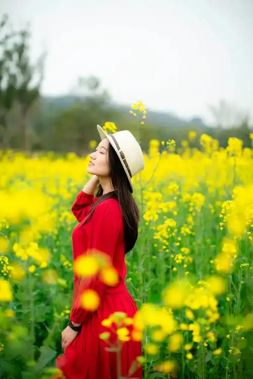 油菜花如何拍照拍油菜花照片怎么拍好看