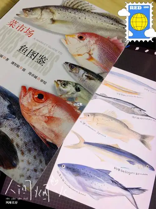 日常练习菜市场鱼图鉴