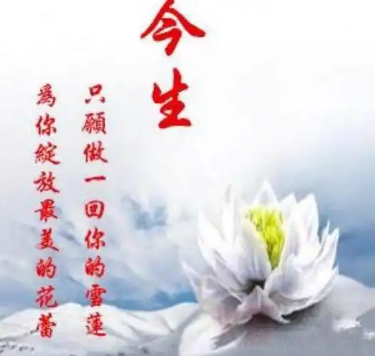 美篇好声音《做你的雪莲》