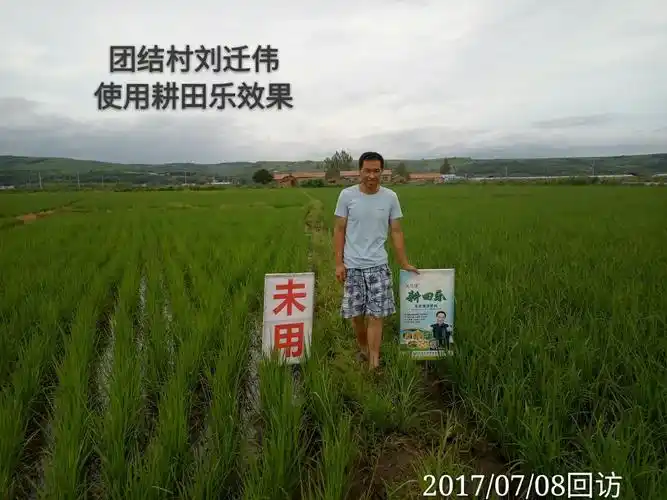 生态增效肥料"耕田乐"2017年回访