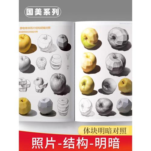 写照素描静物写生照片书临摹对画素材构图单体组合几何体石膏陶罐蔬果