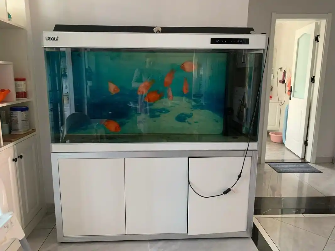 出二手鱼缸 出二手鱼缸,刚买不到一年,配件全,九成新因为搬家,现在