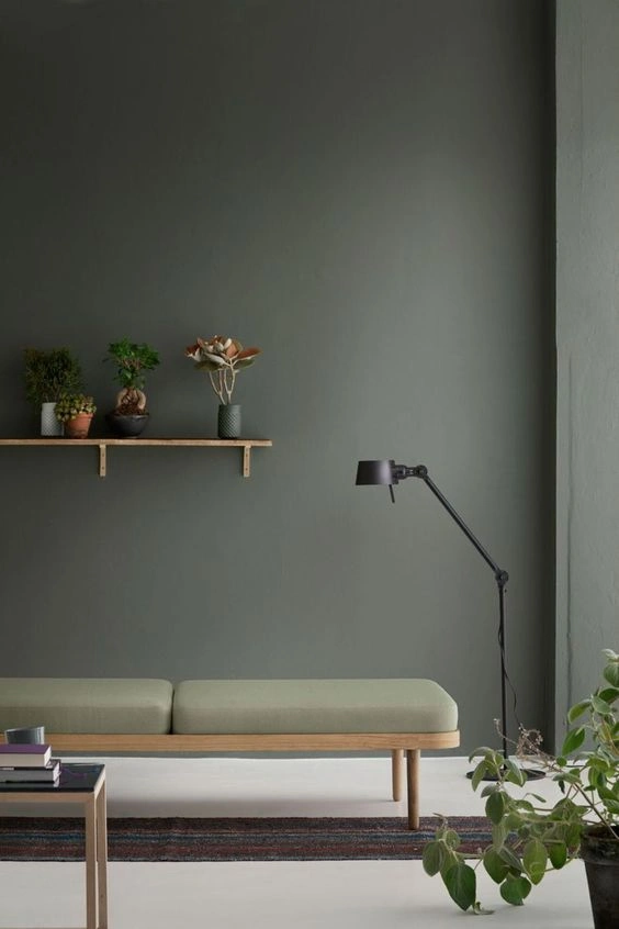 灰绿色上墙,绝对让你眼前一亮!