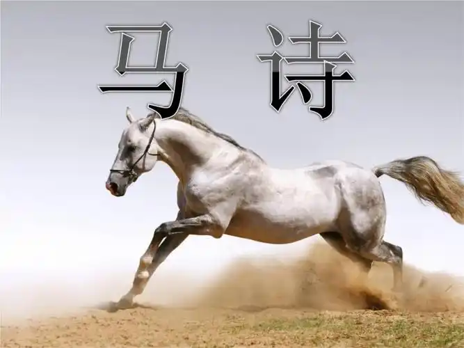 五年级语文上册课件 马诗.ppt