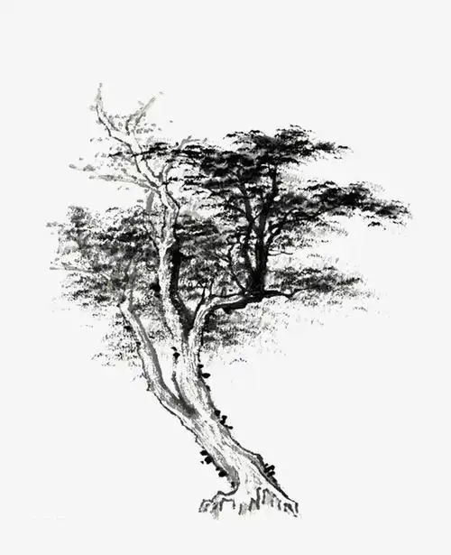 古画的树简笔画