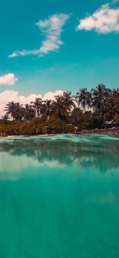 苹果手机壁纸尺寸,苹果12手机壁纸尺寸-友友