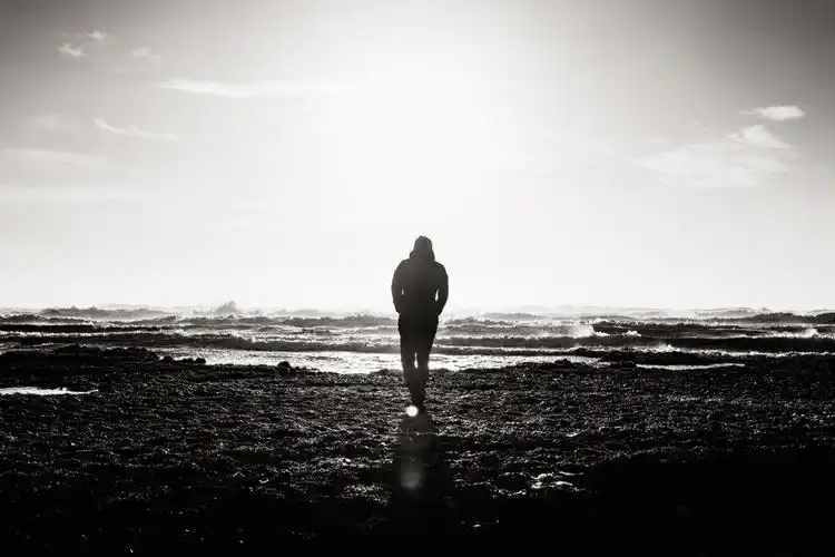 加多宝的作死之路将王炸打得稀巴烂(加多宝把王老吉弄死了)--飞鸽体育