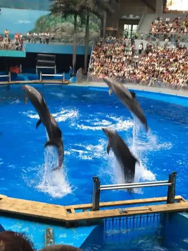 成都海昌极地海洋世界