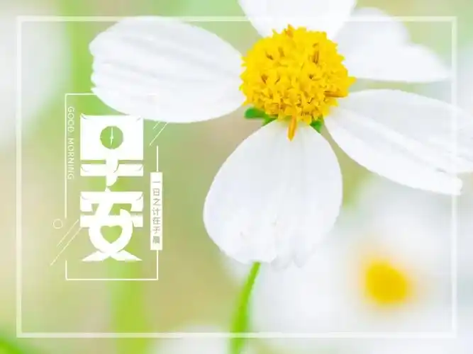 周五早安问候语图片带字温馨2021年暖心早上好图片表情祝福语录