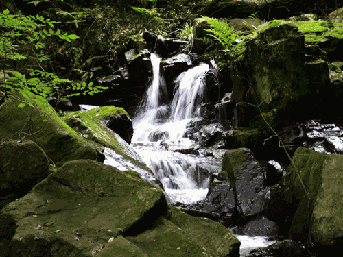水到绝处是风景,人到绝境是重生!