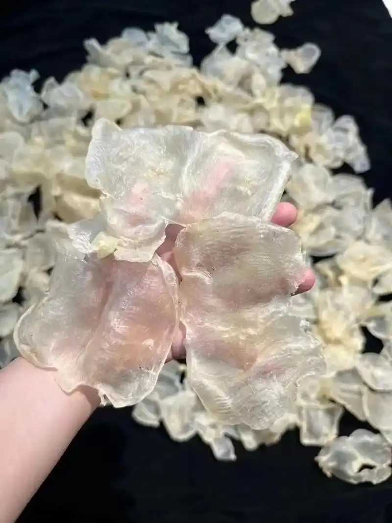 28头最顶级的蝴蝶胶