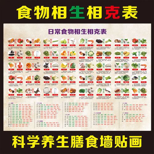 食物相生相克表膳食养生装饰宣传自粘自贴画