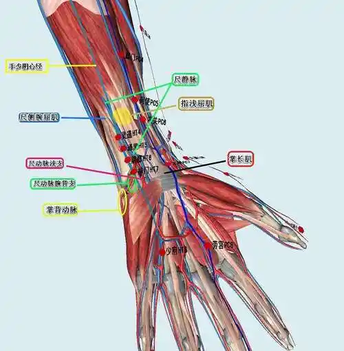 手指肌腱断裂恢复时间要多长时间