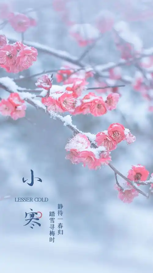 小寒图片配图大全适合小寒节气发朋友圈抖音微博的文案说说句子