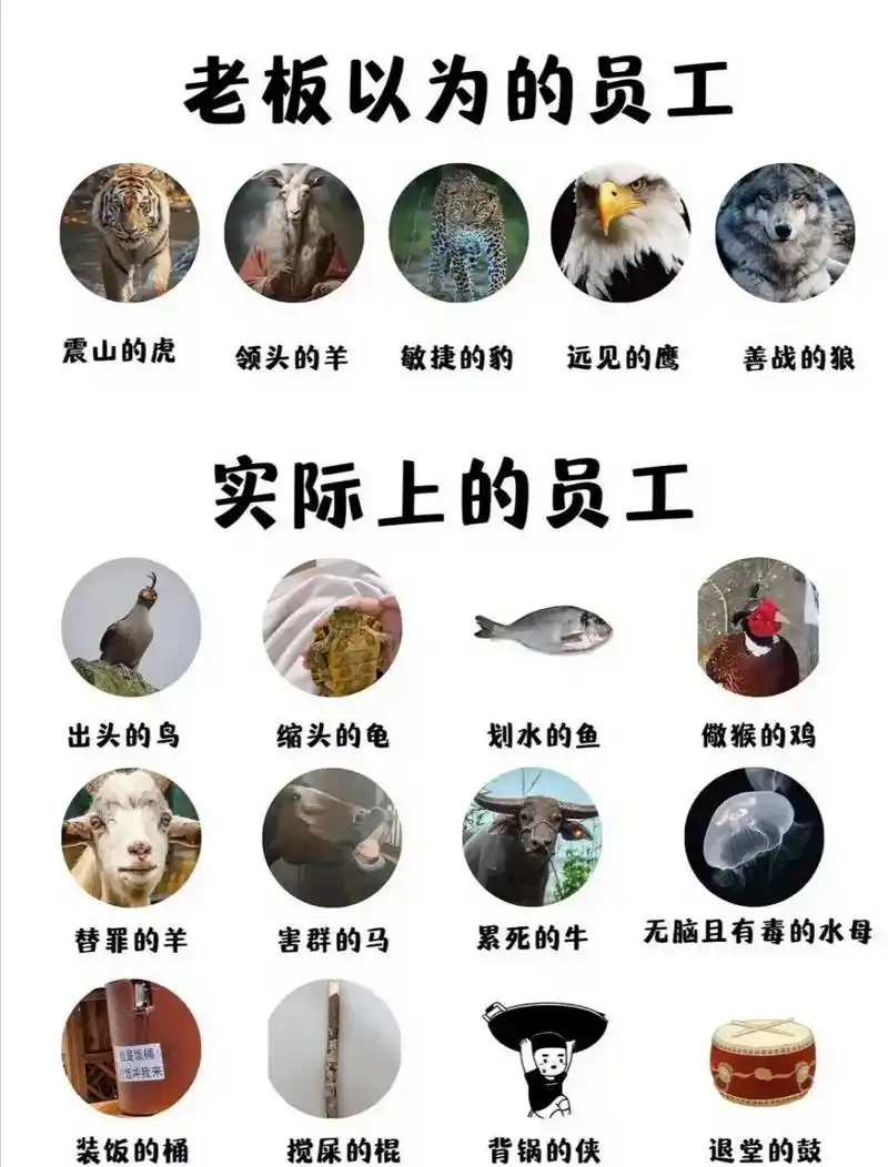 老板以为的员工:震山的虎 领头的羊 敏捷的豹 远见的鹰 善战的狼 实际