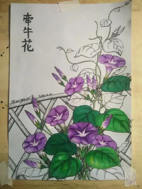 总结翻车的原因:第一,仗着对牵牛花的熟悉,没有好好观察绘画对象,导致