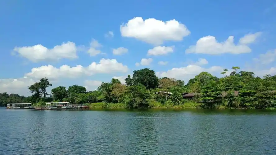 新加坡武吉知马天然保护区攻略,新加坡武吉知马天然保护区门票/游玩