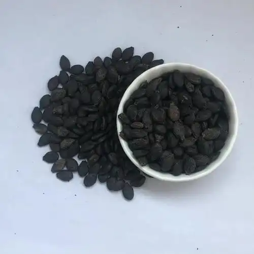 冷焦si gua 99% 高纯棱角丝瓜种子杂交种子在丝瓜